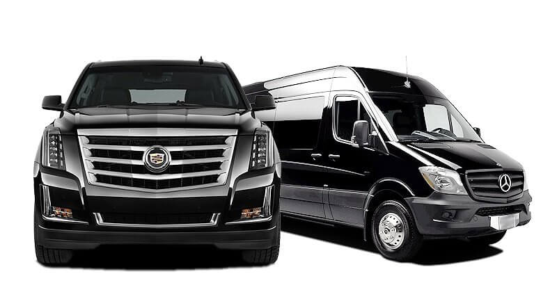 about our limo company